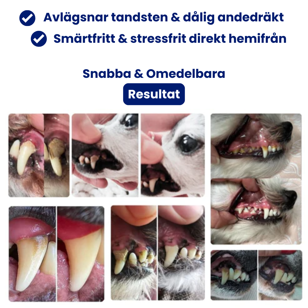 FreshFang™ - Förbättra din pälsklings tandhälsa hemifrån