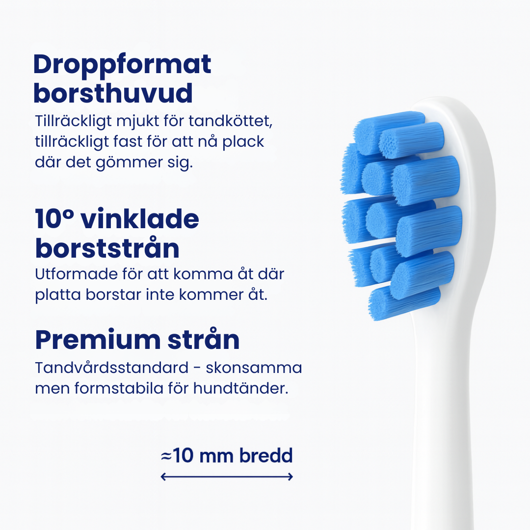 FreshFang™ - Förbättra din pälsklings tandhälsa hemifrån